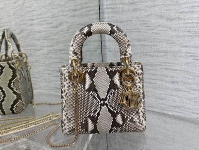 DIOR Handbags 543